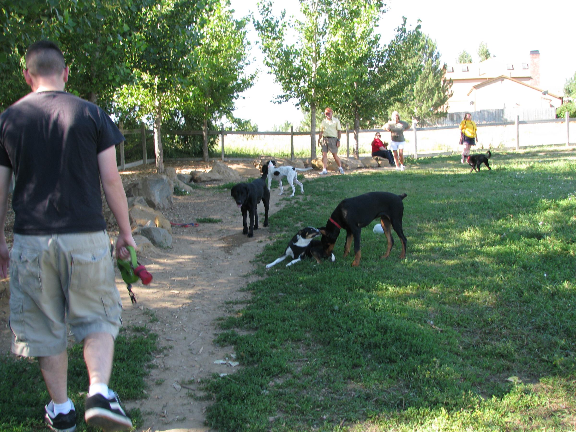 Pet Friendly Grandview Dog Park