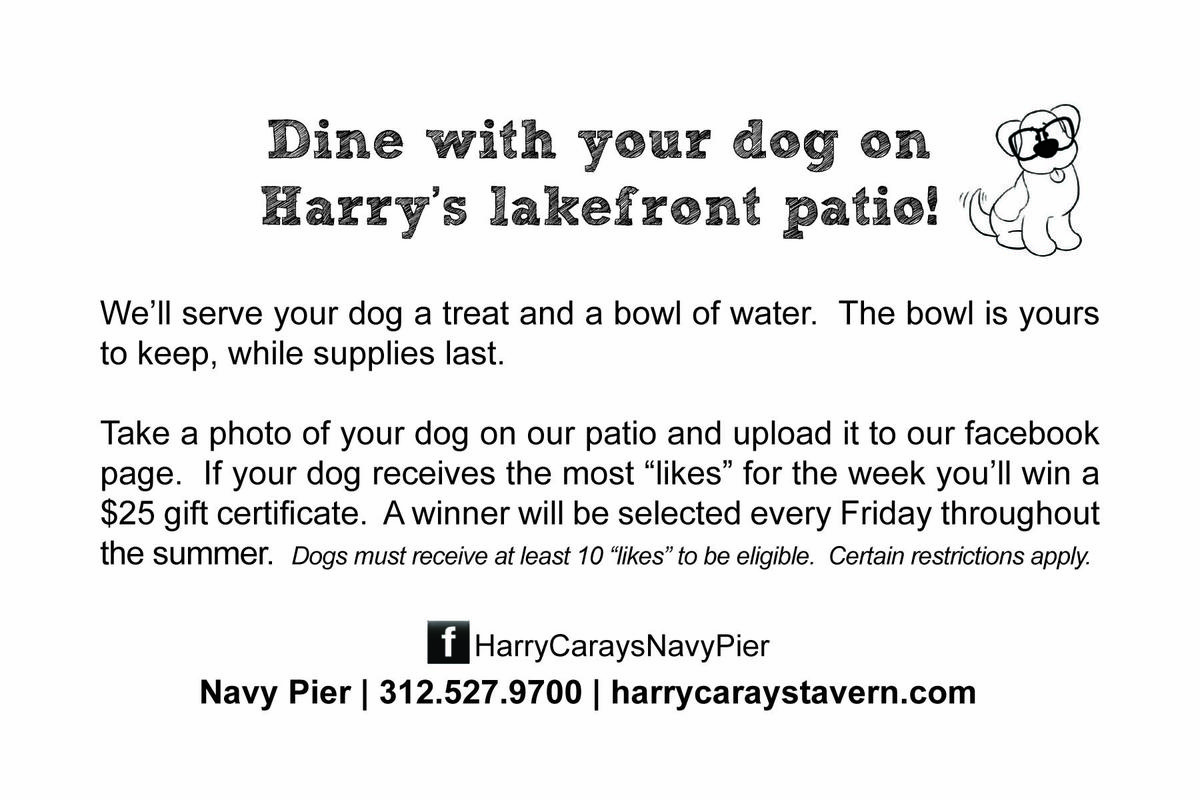 Doggie Facebook Contest