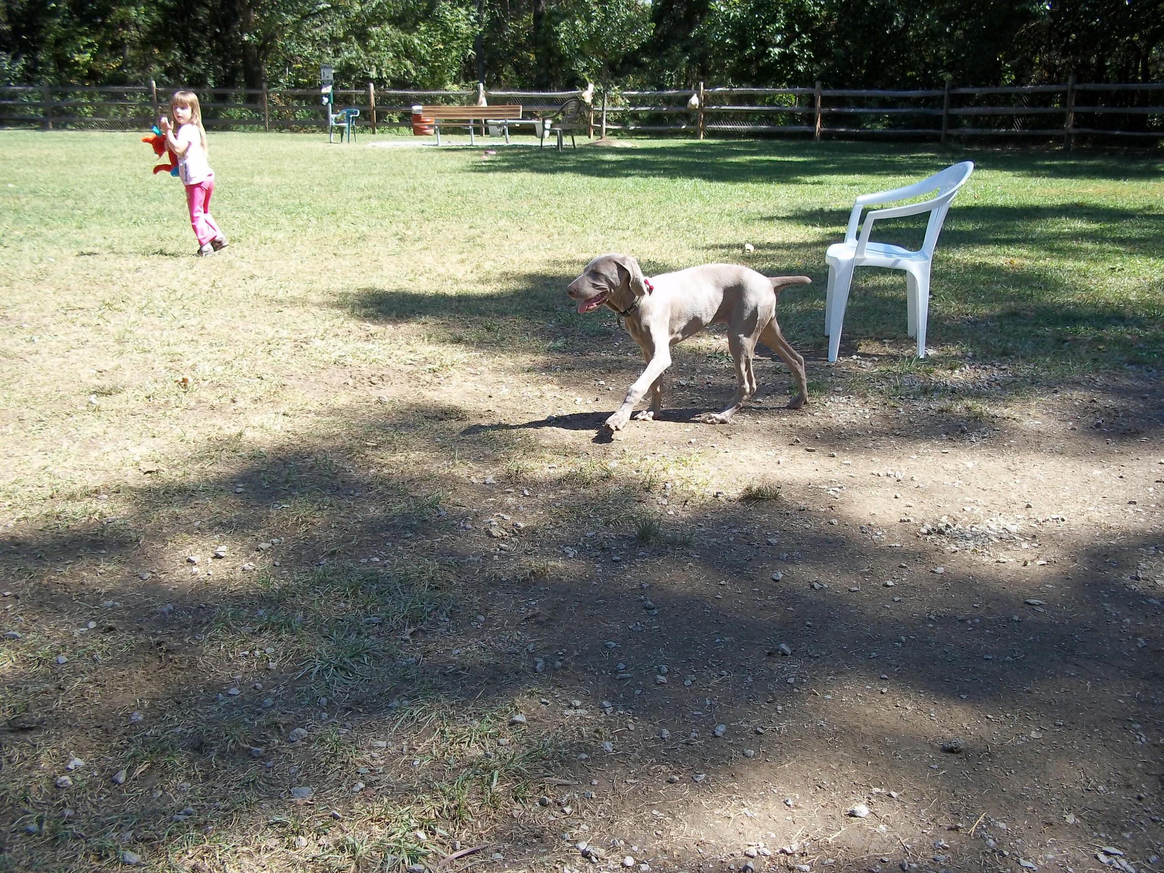 Pet Friendly Penn Hills Dog Park