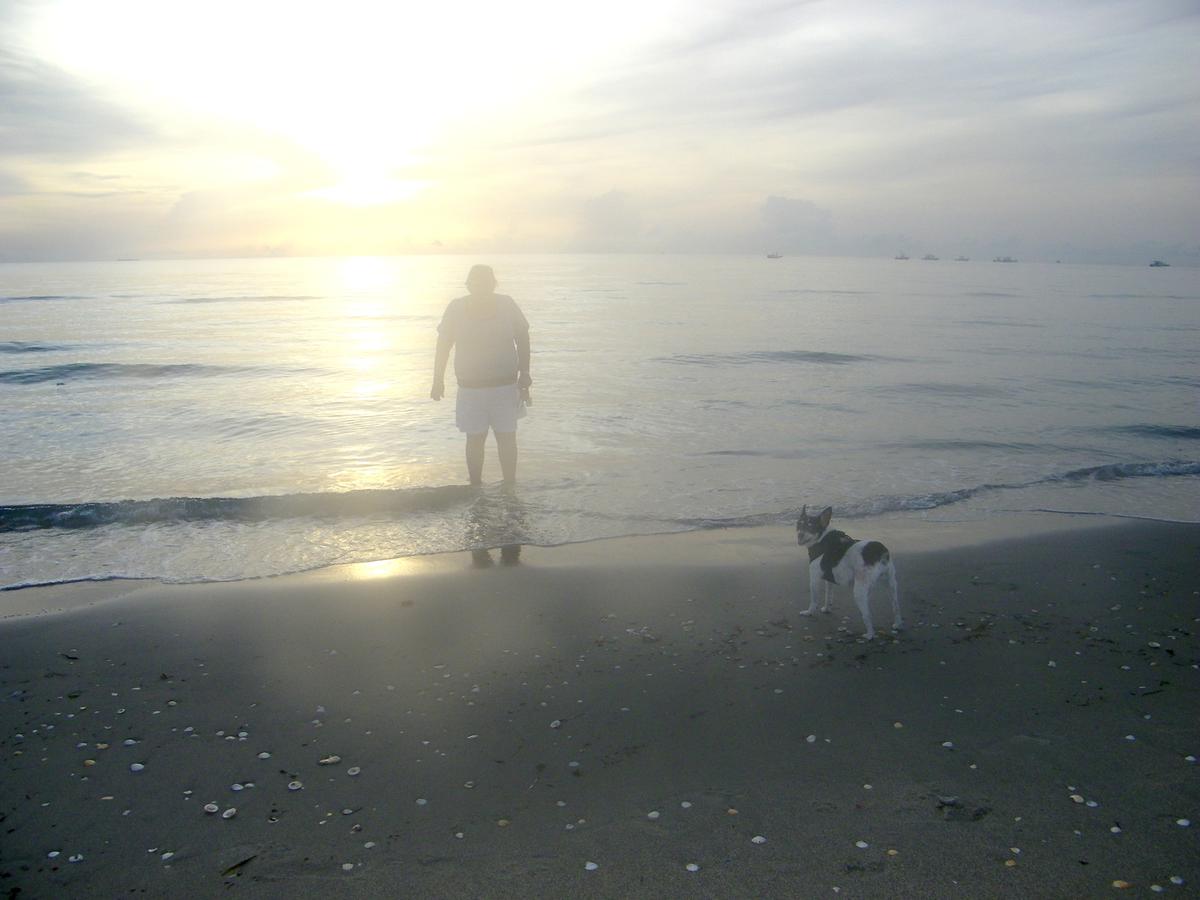 Jupiter Beach (OffLeash Beach)