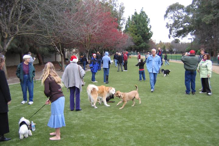 Pet Friendly Saratoga Creek Dog Park