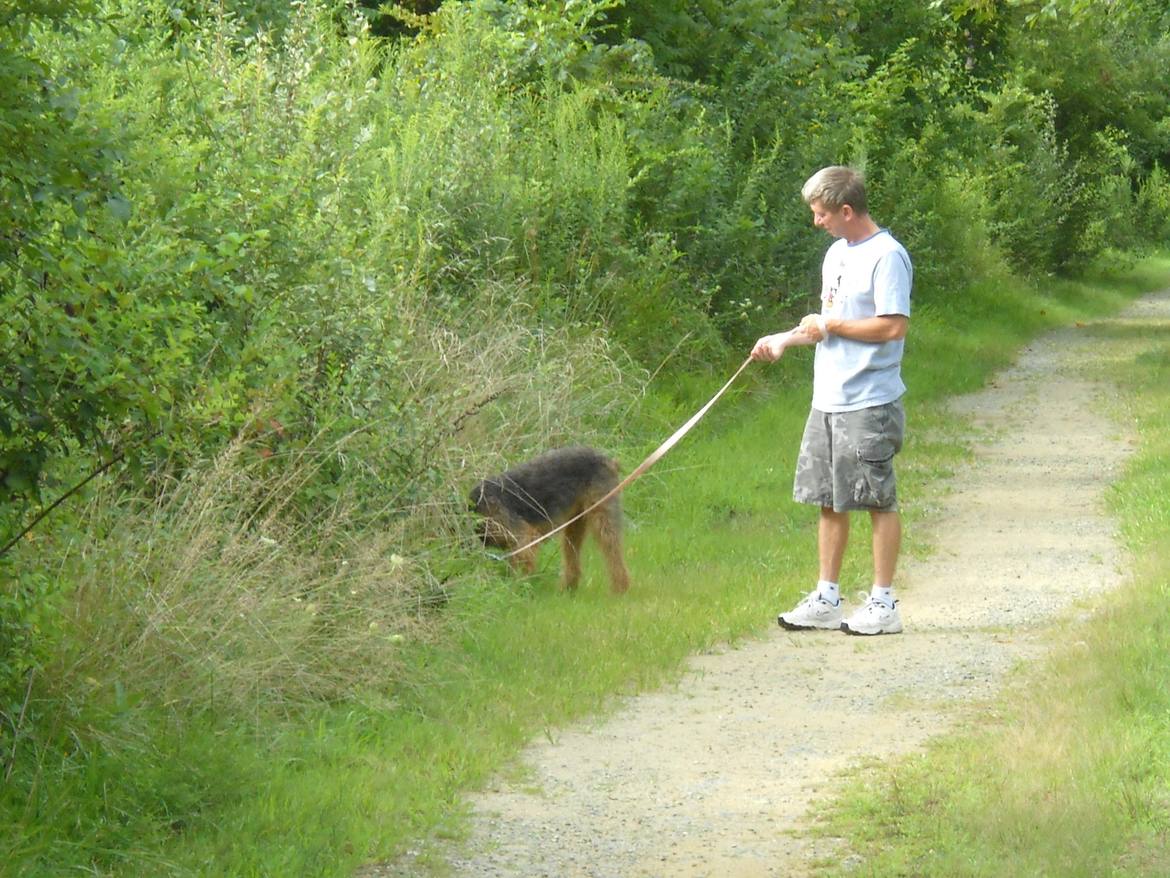 Pet Friendly PennDel Trail