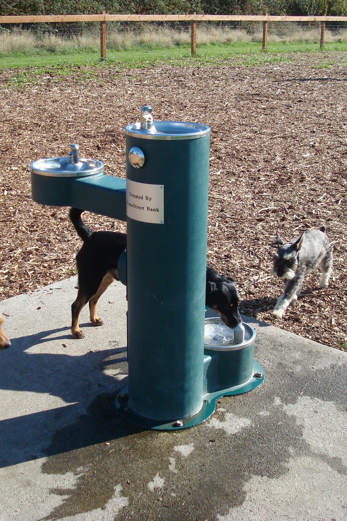 Strawberry Fields Dog Park at the Athletic Complex