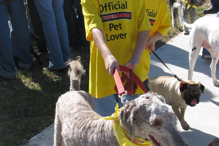 Pet Friendly Haulover Park