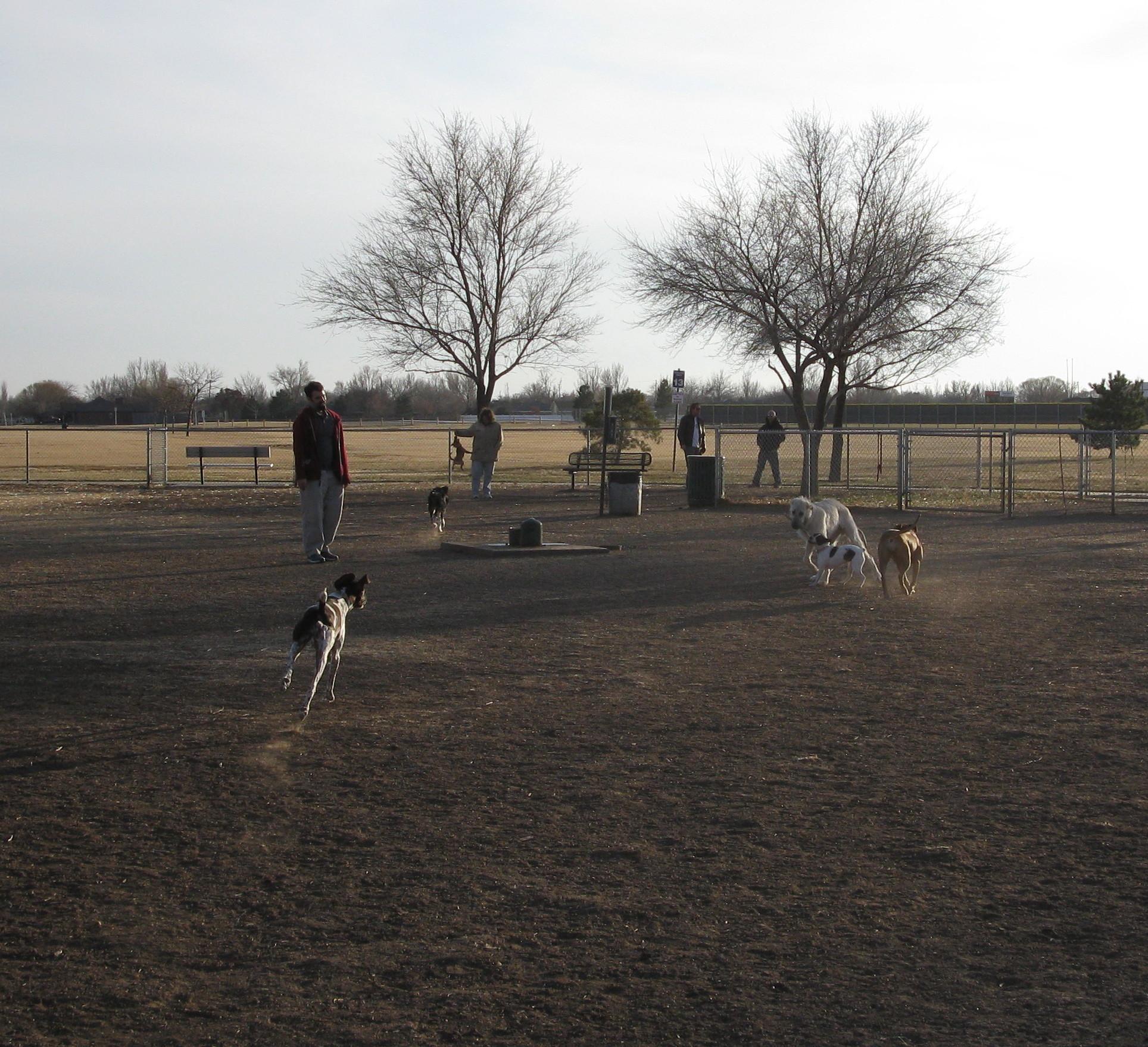 John Stiff Memorial Park Amarillo TX ⋆ BringFido