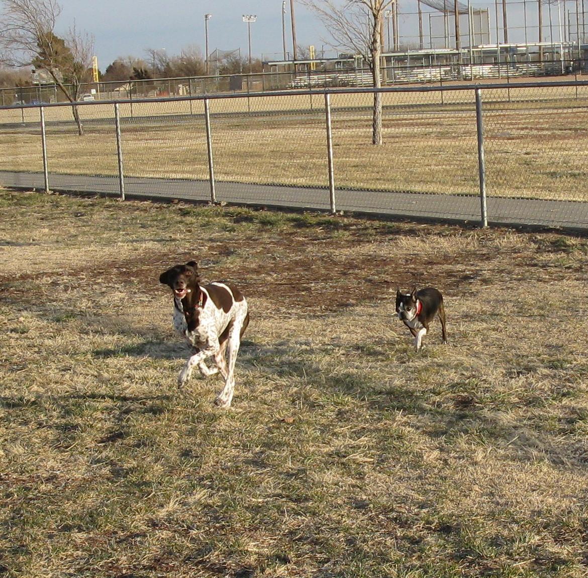 John Stiff Memorial Dog Park