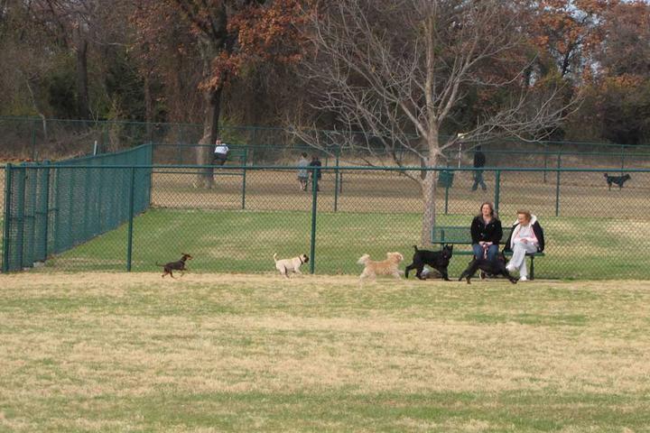 Pet Friendly Wiggly Field at Lake Forest Park