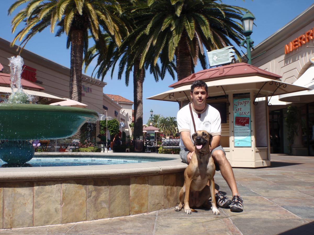 Welcome To Carlsbad Premium Outlets® - A Shopping Center In Carlsbad, CA -  A Simon Property