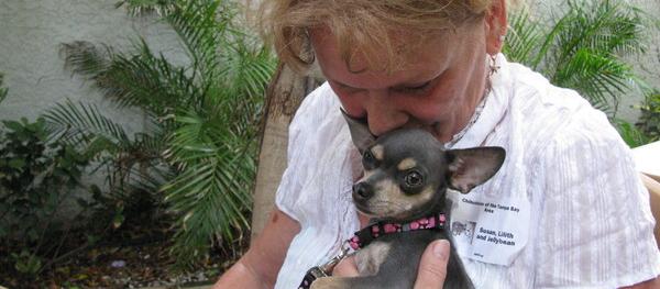 Dog Friendly North Redington Beach, FL