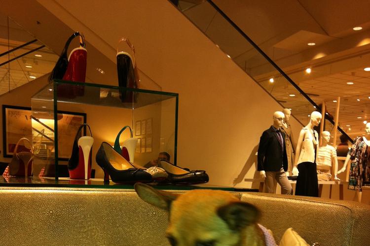 Dog Friendly Shopping in Illinois - BringFido