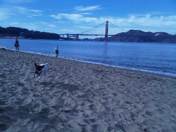 Larkspur Dating Beach Larkspur Dating Beach