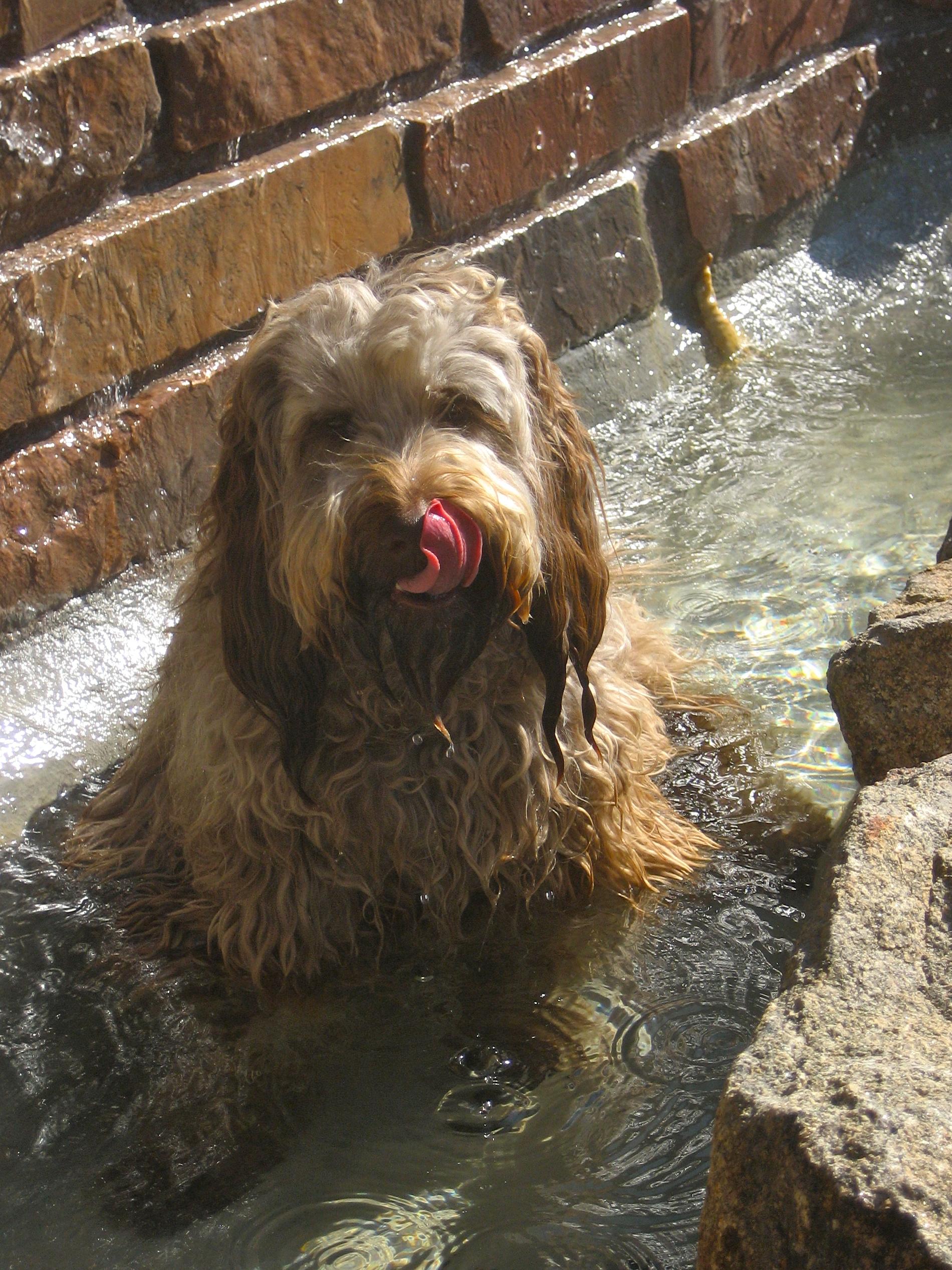 Coco In Her Water Park