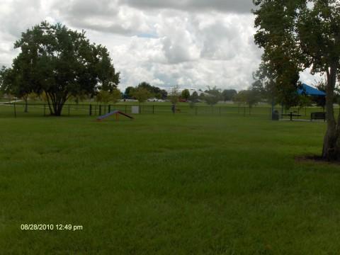 Dog Friendly Activities in Orlando, FL BringFido