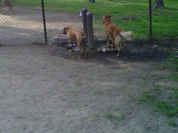 Kernersville Dog Park at Fourth of July Park