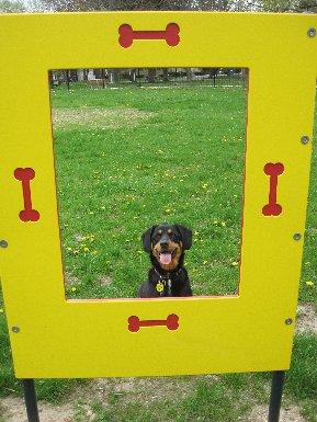 Dog Friendly Kalamazoo Mi Bringfido