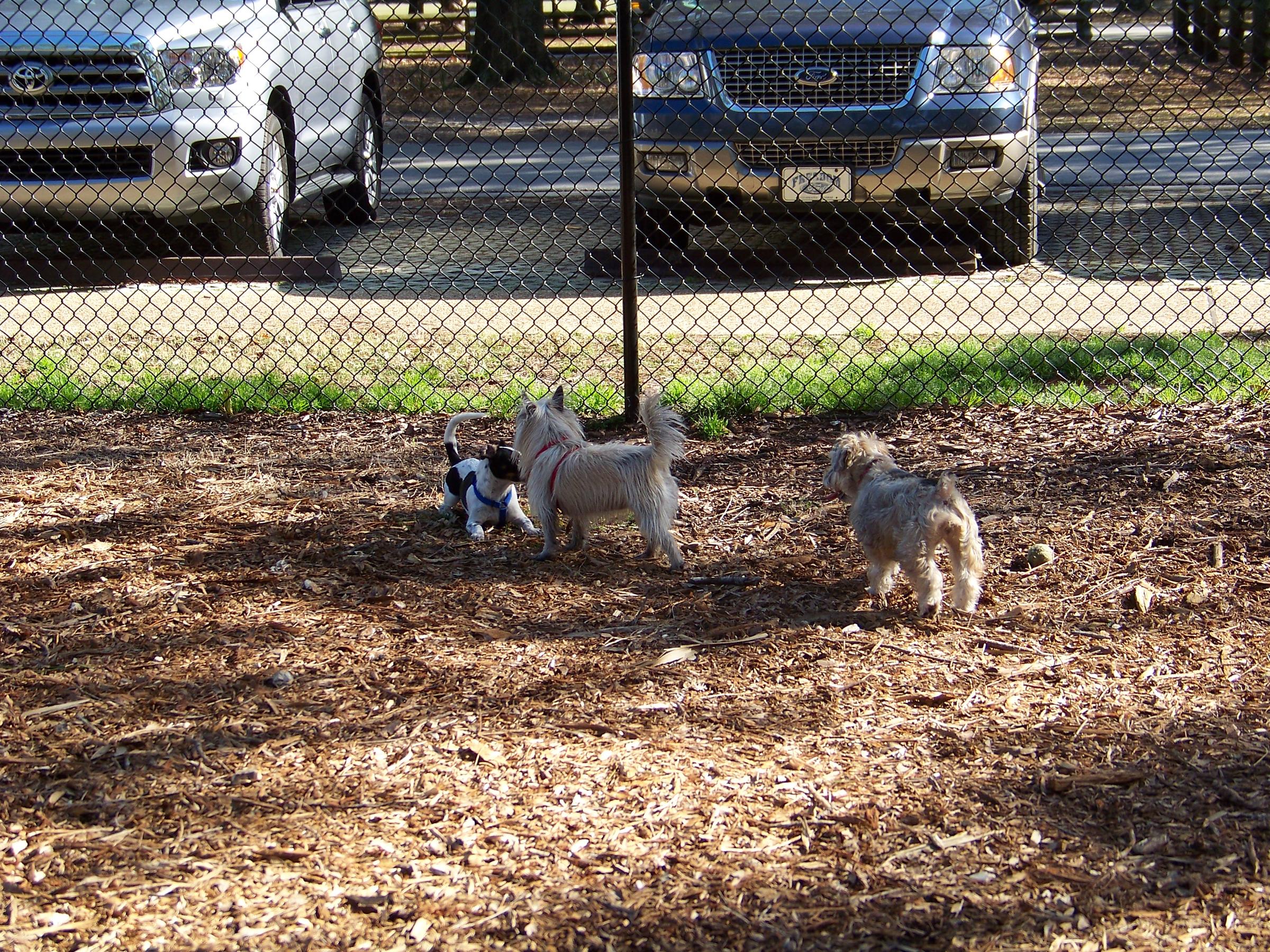 Pet Friendly Paw Playground at John Chesnut Sr. Park