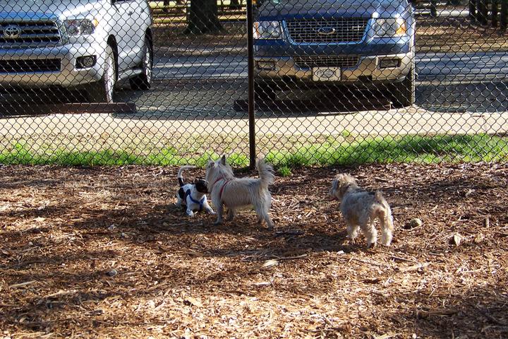Pet Friendly Paw Playground at John Chesnut Sr. Park