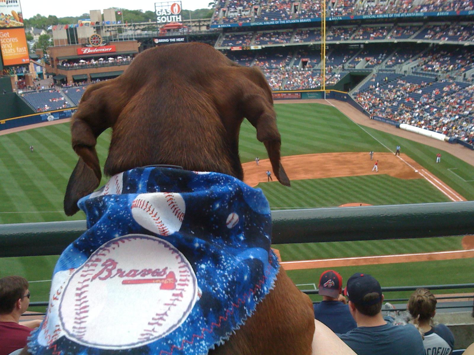 Bark in the Park with the Atlanta Braves ⋆ BringFido