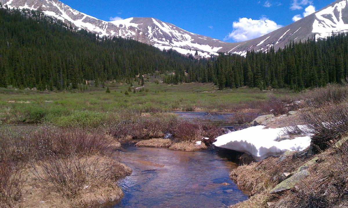 Dog Friendly Hiking Trails In Winter Park Co Bringfido