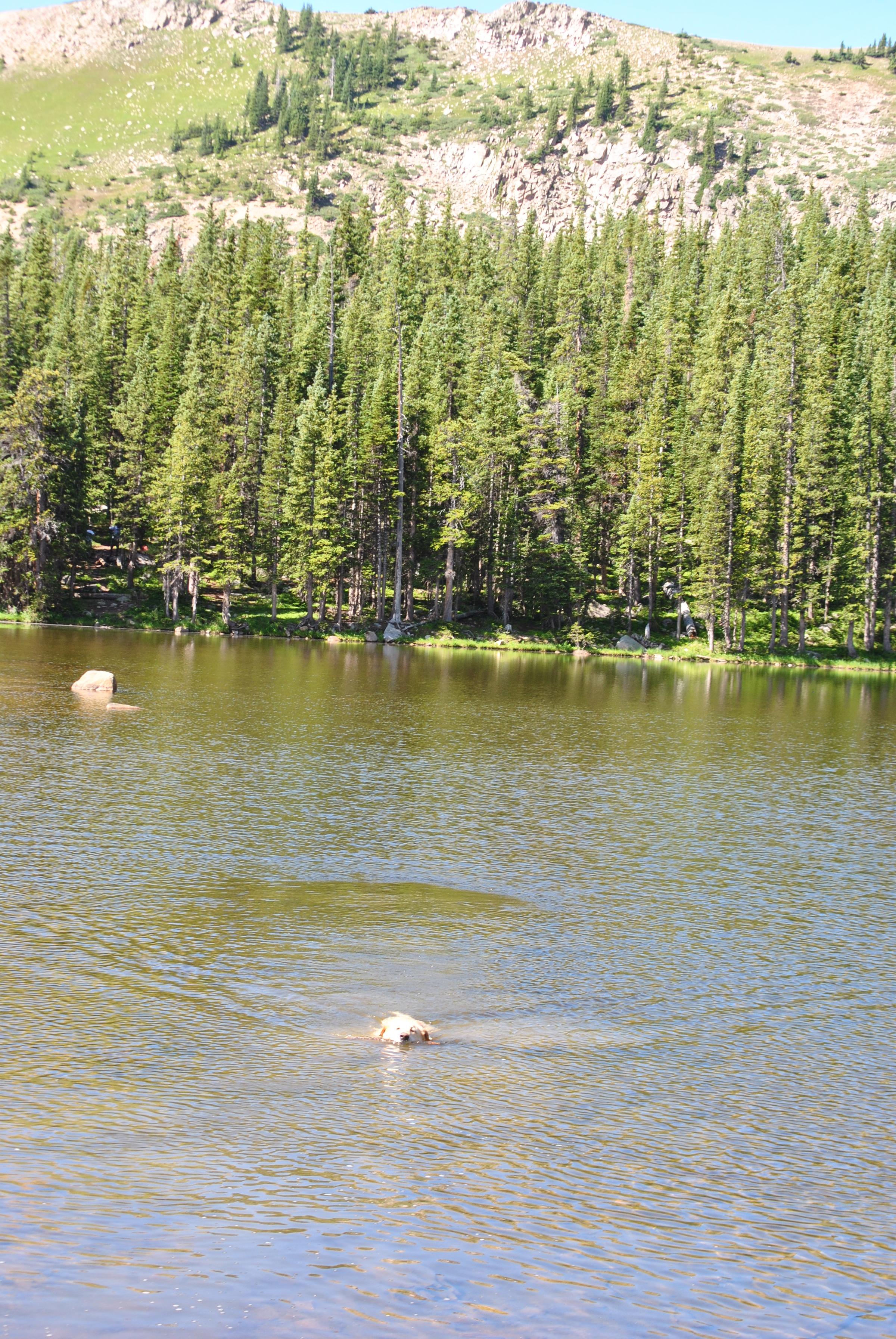 Pet Friendly Waterdog Lakes Trail