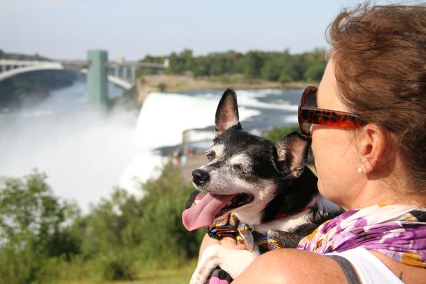 Dog Friendly Niagara Falls, NY