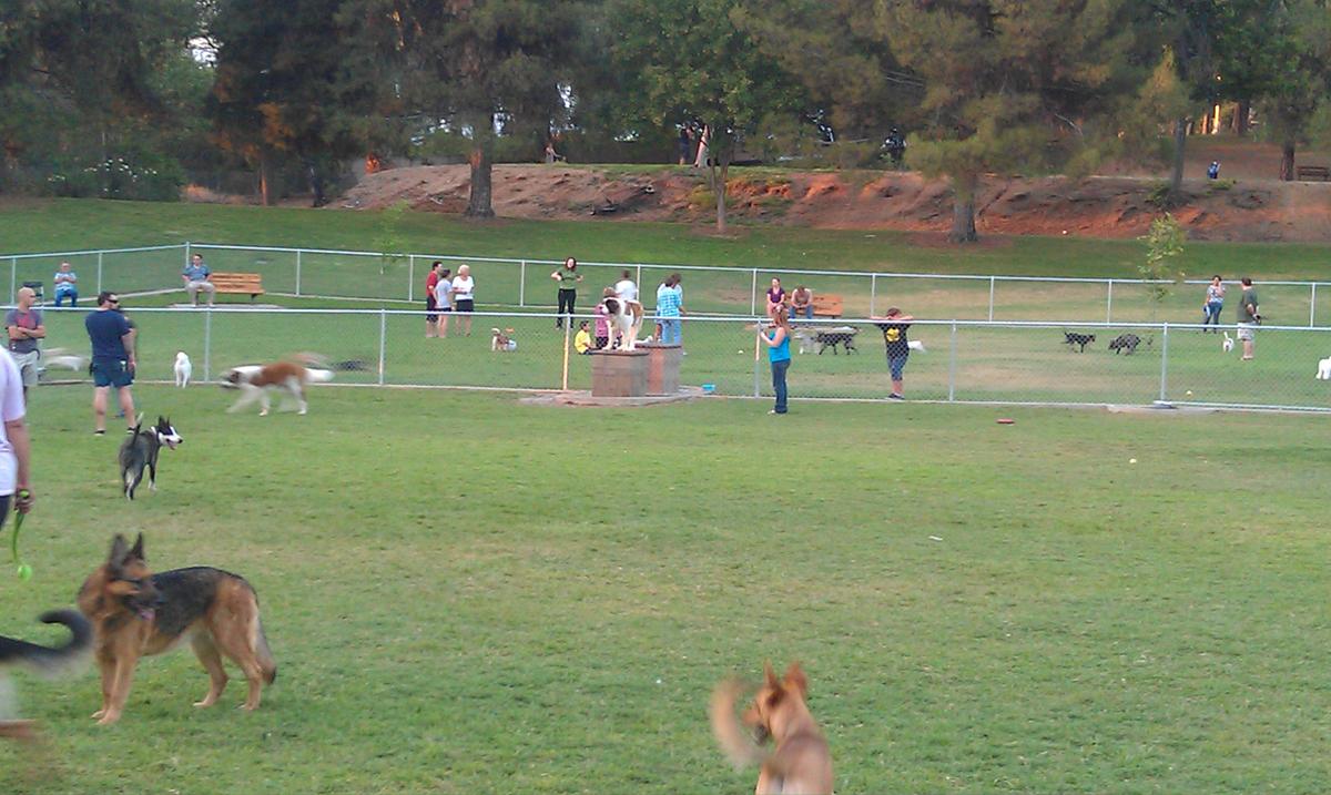 Off Leash Dog Parks in Beaumont CA BringFido