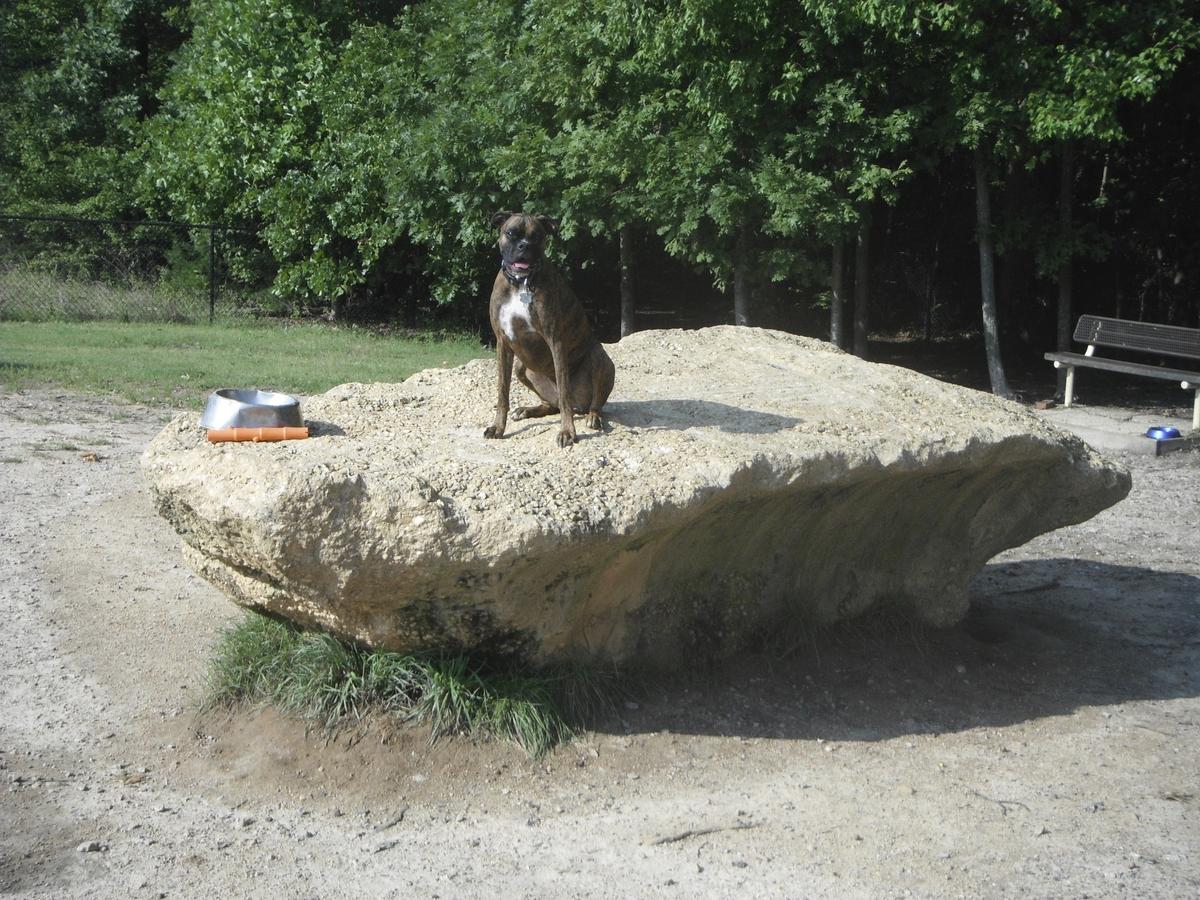 South Run Rec. Center Dog Park