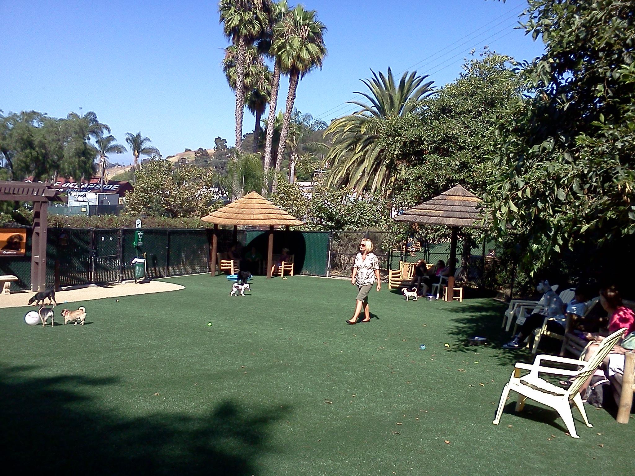 Oceanside Dog Park