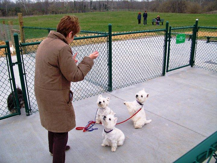Pet Friendly Michael Kays Dog Park at Red Orchard Park