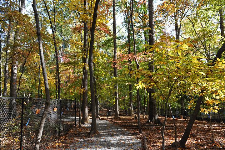 Brook Run Dog Park
