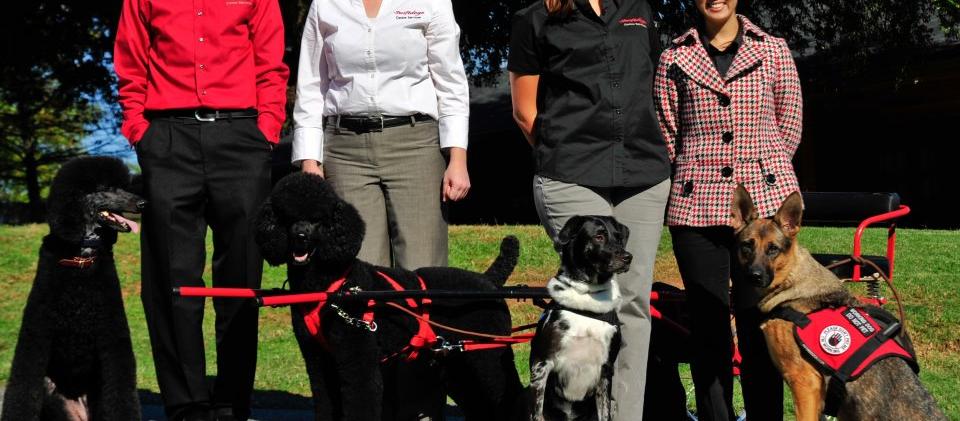 Thomas Brown - Grooming Consultant Jenni Lough Watson - President Michelle Baginski - Behavior Consultant Lindsay Ritter - Behavior Consultant Located at 1893 Warren C. Coleman Blvd. Concord, NC 28025 Thomas Brown - Grooming Consultant Jenni Lough Watson - President Michelle Baginski - Behavior Consultant Lindsay Ritter - Behavior Consultant Located at 1893 Warren C. Coleman Blvd. Concord, NC 28025