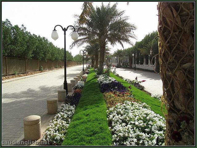 Pet Friendly King Abdullah Sidewalk (Prince Sultan University)