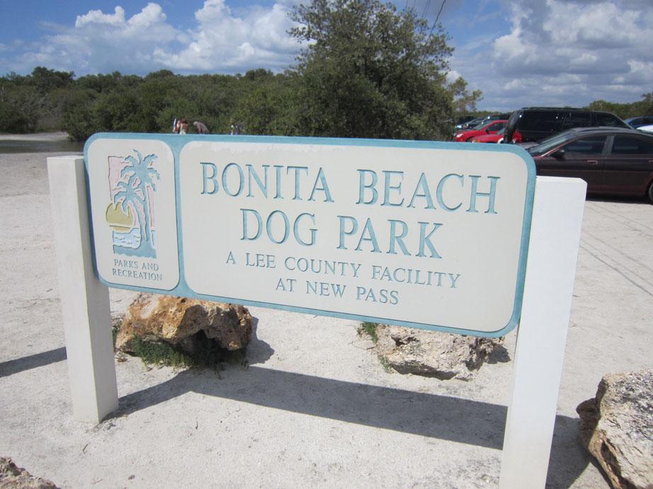 Are Dogs Allowed On Bonita Beach