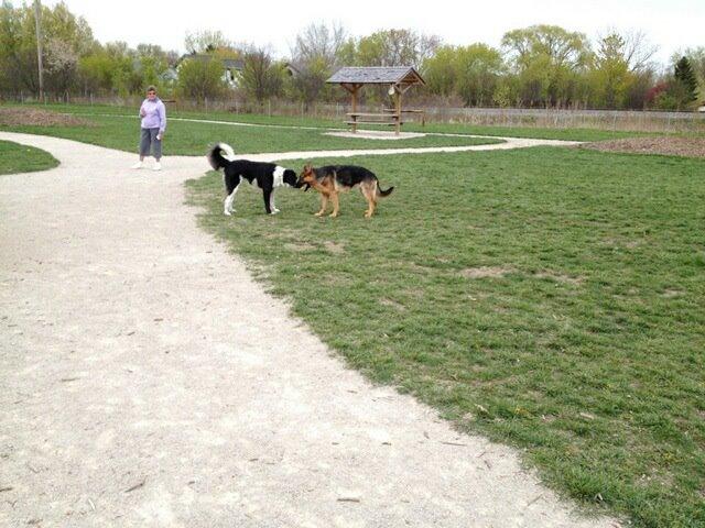 Happy tails best sale dog park