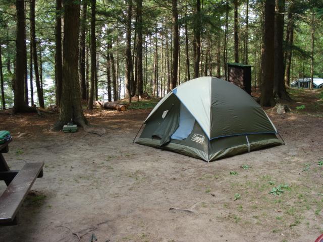 are dogs allowed in nys campgrounds