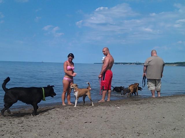 are dogs allowed at fairport harbor beach