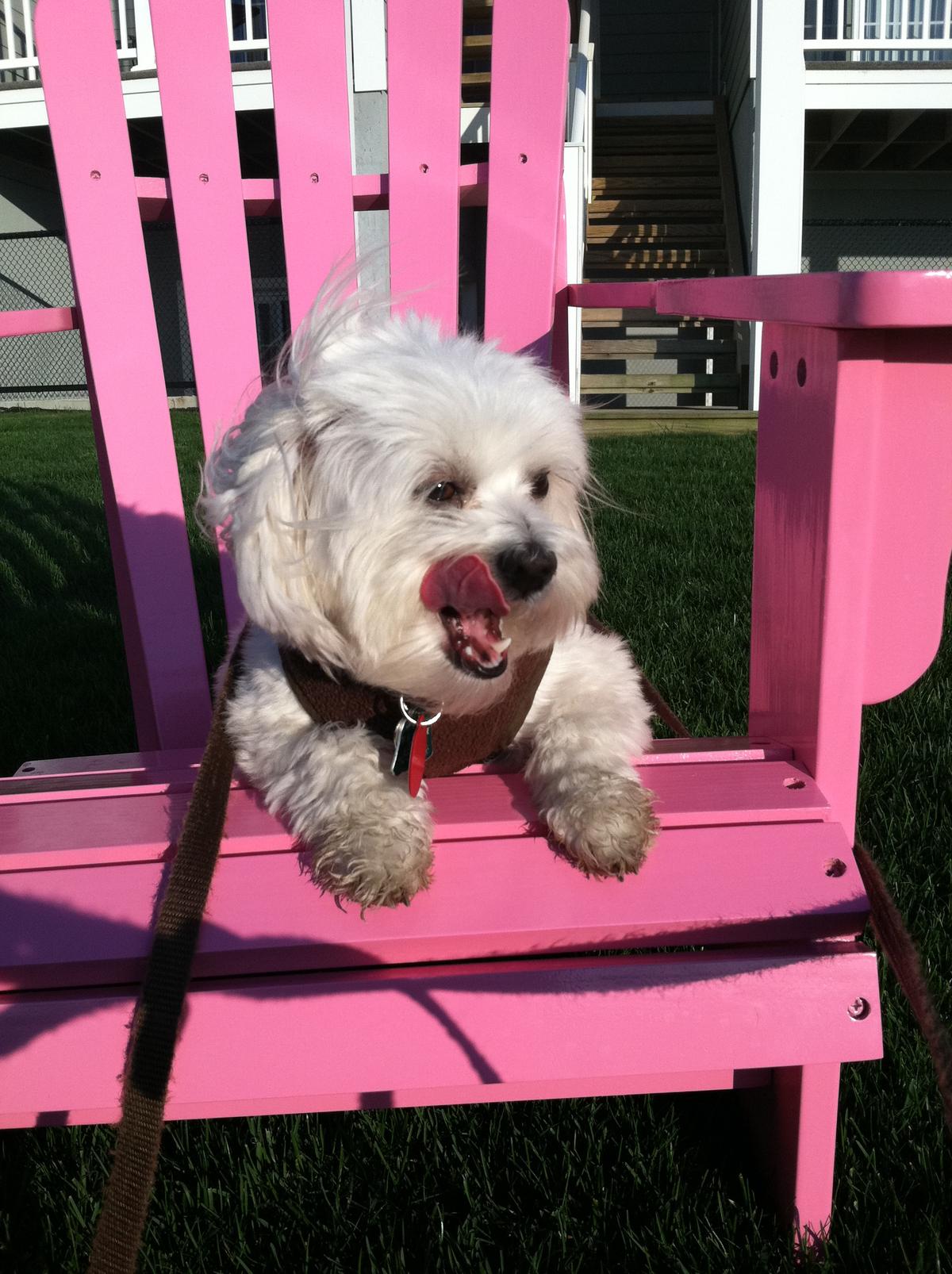 Bella Lounging @ Cliffside Resorts, Greenport NY