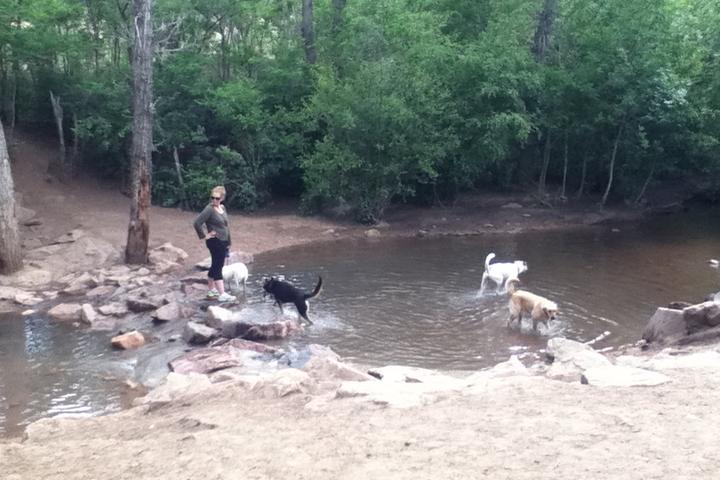 Pet Friendly Bear Creek Dog Park