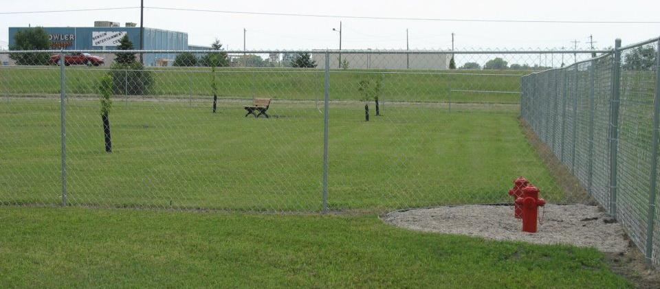 Dog Friendly Benson, MN