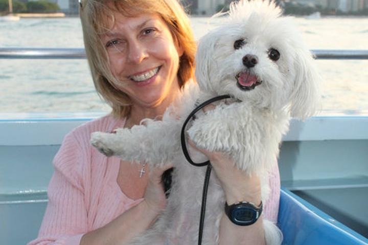 Pet Friendly Mercury's Canine Cruise