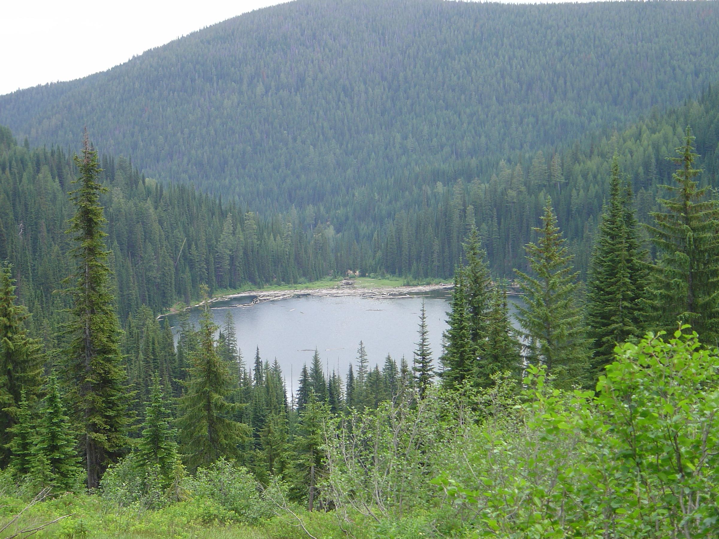 Pet Friendly Diamond Lake and Cliff Lake Trail