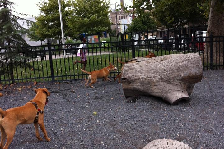 Pet Friendly Dog Park at Schuylkill River Park