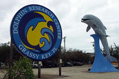 Pet Friendly Dolphin Research Center