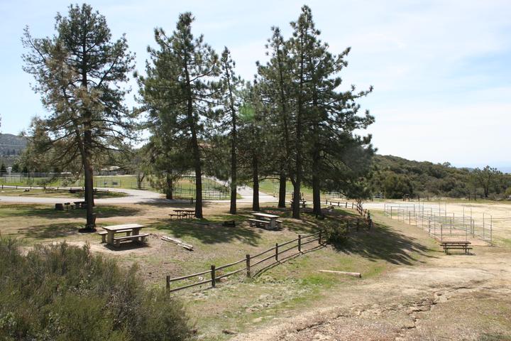 Pet Friendly McCall Memorial Equestrian Campground