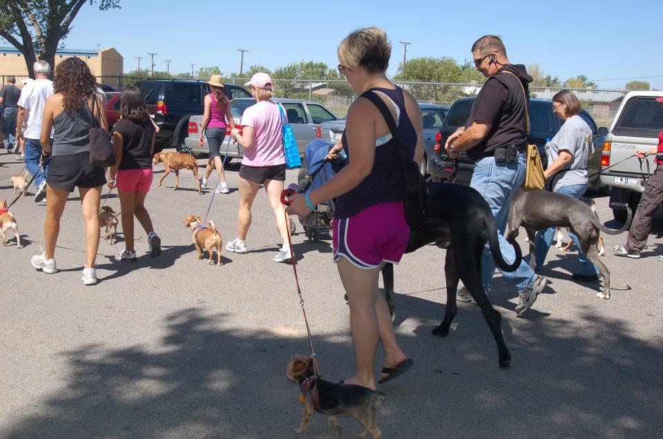 Dog Friendly Rio Rancho, NM BringFido