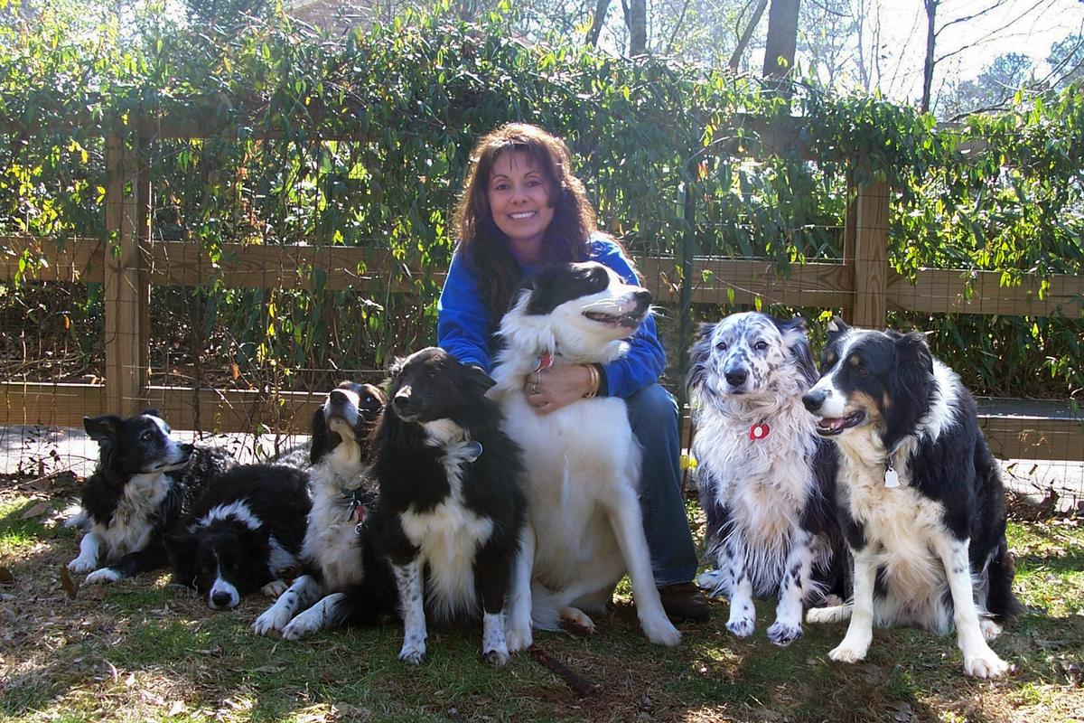 Directory Of Dog Trainers In Canton Ga Bringfido