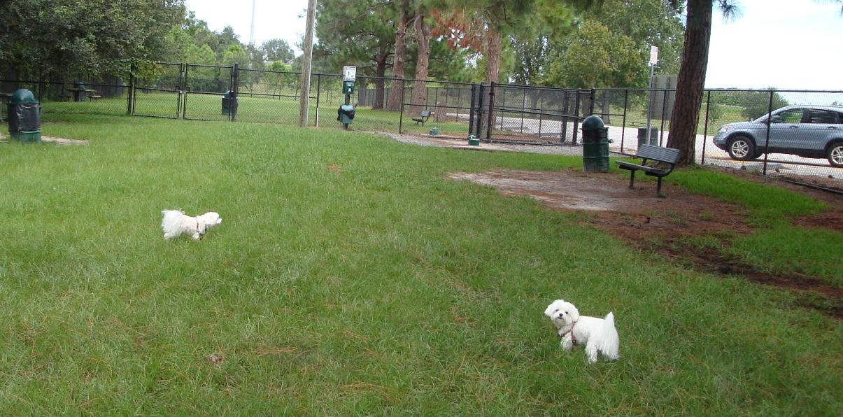 Pet Friendly Partin Triangle Neighborhood Dog Park