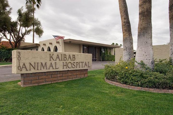 Pet Friendly Kaibab Animal Hospital