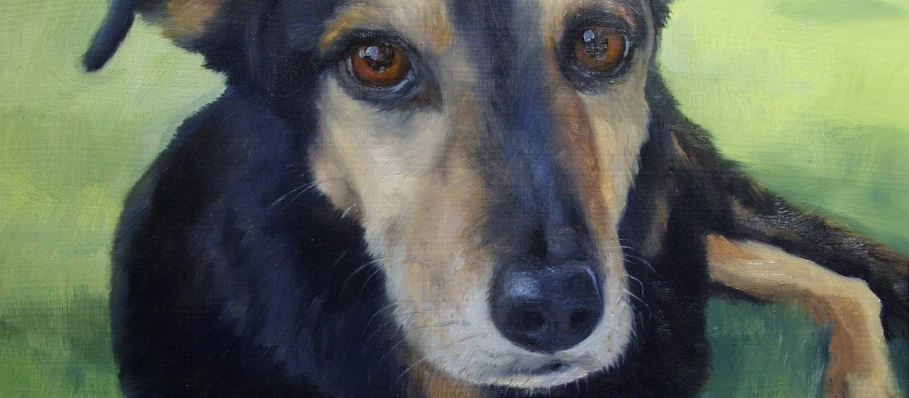 Simply Dog Portraits Simply Dog Portraits