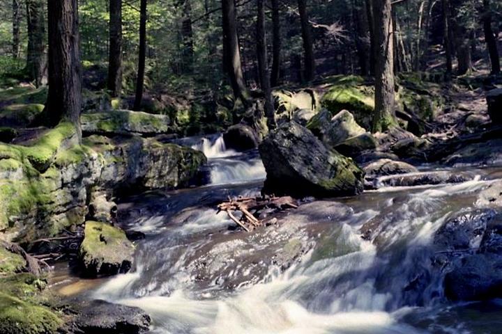 Dog Friendly Hiking Trails In Watertown Ct Bringfido